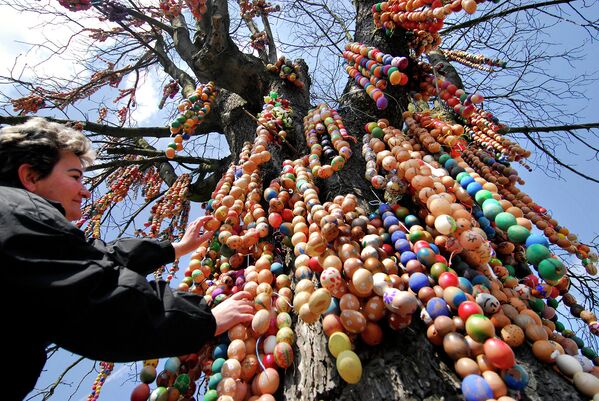 Дерево, украшенное пасхальными яйцами в городе Блудов (Чехия). - Sputnik Таджикистан