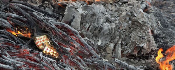 Уничтожение наркотиков. Архивное фото - Sputnik Таджикистан