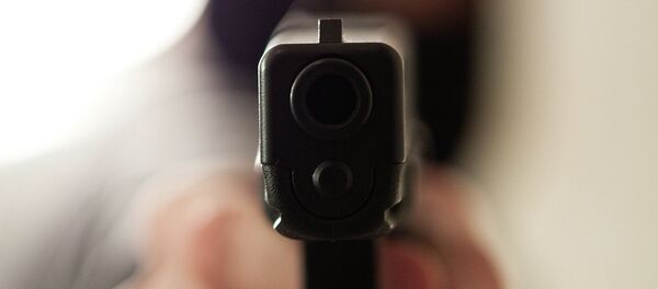Пистолет, архивное фото - Sputnik Таджикистан