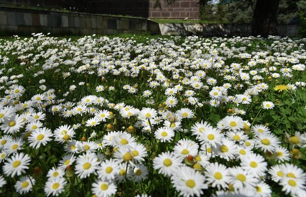 Какой сегодня праздник в Таджикистане и мире: 22 марта - Sputnik Таджикистан