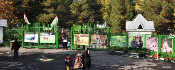 Душанбинский зоопарк - Sputnik Тоҷикистон