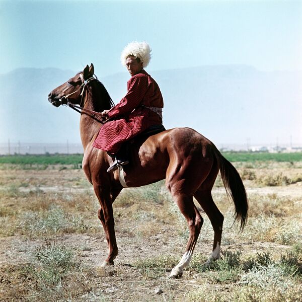 Ахалтекинский конь. Архивное фото. - Sputnik Таджикистан