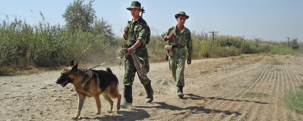 На таджикско-афганской границе. Архивное фото - Sputnik Тоҷикистон