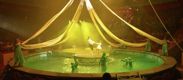 Гастроли Большого московского цирка на воде в Душанбе - Sputnik Таджикистан