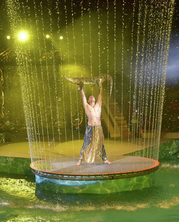 Гастроли Большого московского цирка на воде в Душанбе - Sputnik Таджикистан