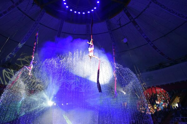 Гастроли Большого московского цирка на воде в Душанбе - Sputnik Таджикистан