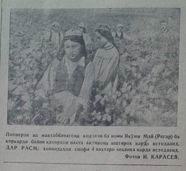 Пионерон. Комсомоли Тоҷикистон, соли 1941 - Sputnik Тоҷикистон