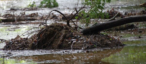 Оқибатҳои фаромадани сел. Акс аз бойгонӣ - Sputnik Тоҷикистон