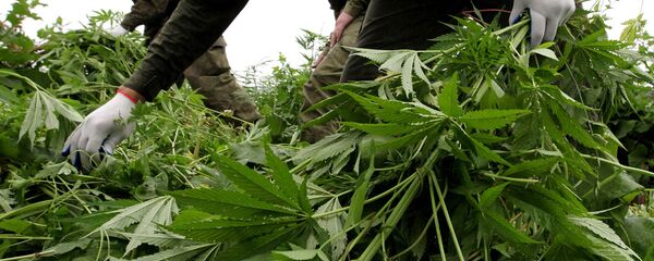 Бангҳои худрӯй нест карда мешаванд. Акс аз бойгонӣ - Sputnik Тоҷикистон