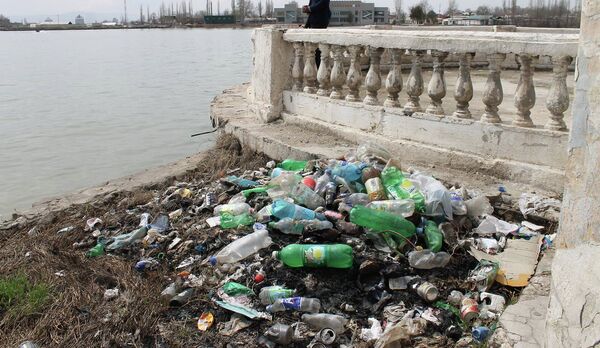 Пластиковые бутылки и другой мусор возле Молодежного озера в Душанбе. Архивное фото Пластиковые бутылки и другой мусор возле Молодежного озера в Душанбе. Архивное фото - Sputnik Таджикистан