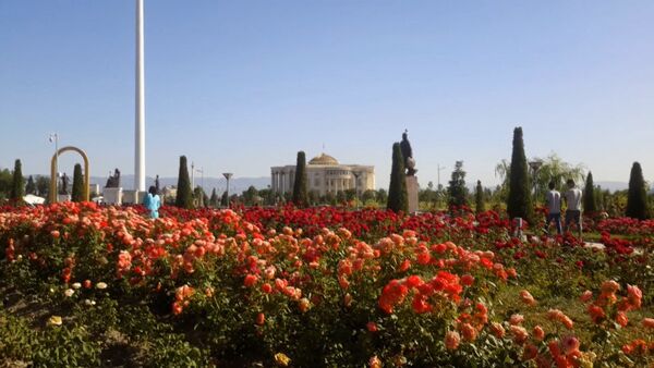 Тысячи роз расцвели в центре Душанбе - Sputnik Таджикистан
