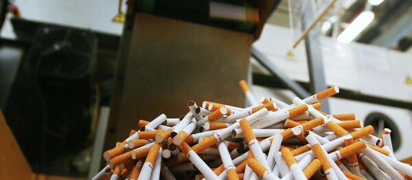 Сигор дар корхонаи тамокубарорӣ. Акс аз бойгонӣ - Sputnik Тоҷикистон