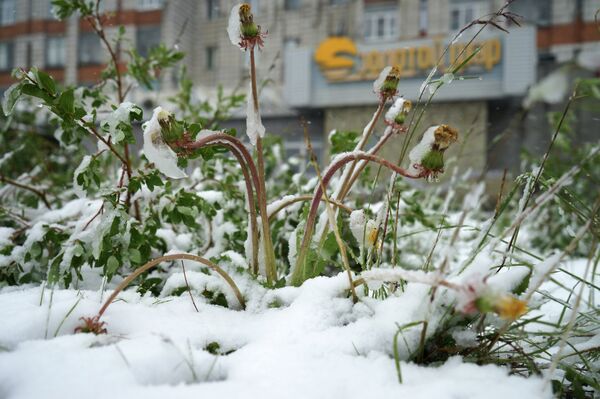 Ҷашнҳои рӯзи 2 июн дар Тоҷикистон ва ҷаҳон  - Sputnik Тоҷикистон