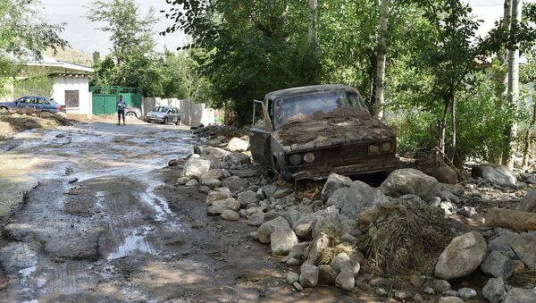 Последствия схода селевого потока, архивное фото - Sputnik Таджикистан
