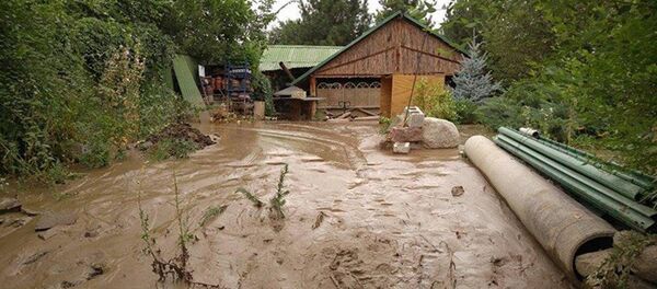 Оқибатҳои сел. Акс аз бойгонӣ - Sputnik Тоҷикистон