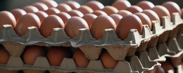 Яйца. Архивное фото - Sputnik Тоҷикистон