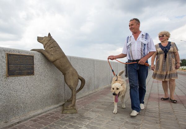 Памятник собаке по кличке Дружок в Благовещенске - Sputnik Таджикистан