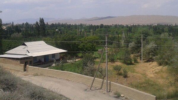 В районе села Кок-Таш Баткенского района. Август 2015 года - Sputnik Таджикистан