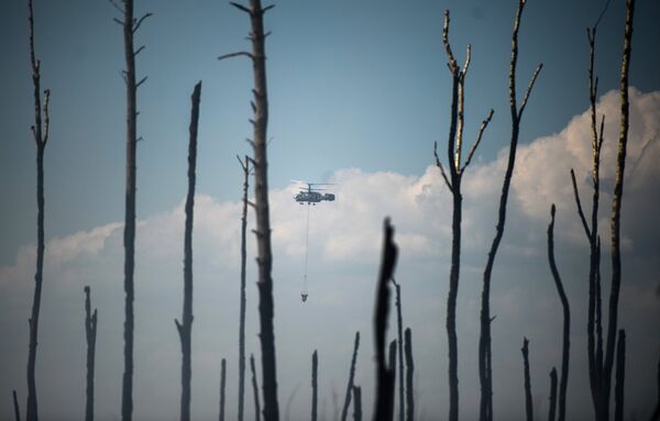 Лесные пожары в Тверской области - Sputnik Таджикистан