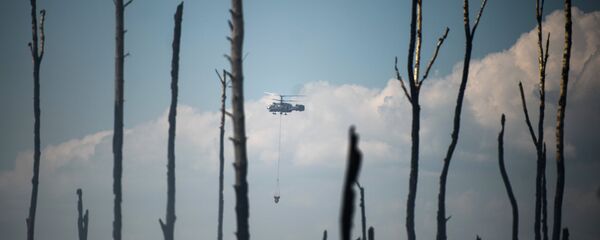 Оташсӯзӣ дар ҷангалҳои вилояти Твер. Акс аз бойгонӣ - Sputnik Тоҷикистон