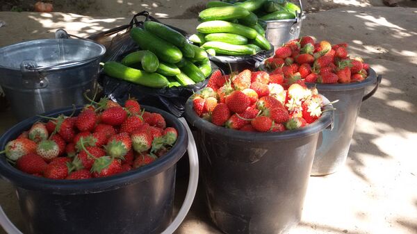 По дороге в Ромит всегда можно купить свежие овощи, фрукты и ягоды. - Sputnik Таджикистан