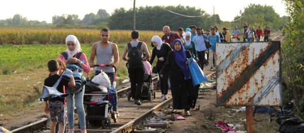 Ситуация на венгерско-сербской границе, архивное фото - Sputnik Таджикистан