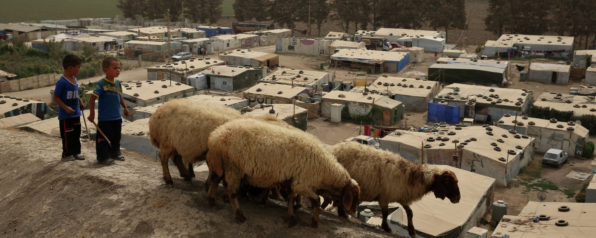 Сирийские мальчики пасут овец около сирийского лагеря беженцев в городе Дейр-Занун, долине Бекаа, Ливан.  - Sputnik Тоҷикистон, 1920, 26.05.2021