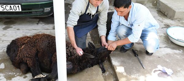 Иди Курбон в Душанбе Иди Курбон в Душанбе - Sputnik Тоҷикистон