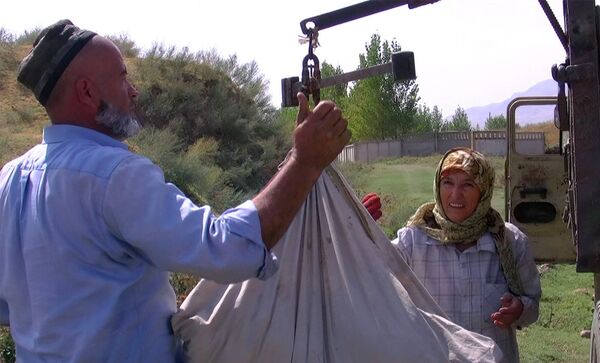 Подсчет собранного хлопка - Sputnik Тоҷикистон