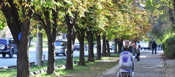 Таджикская осень Таджикская осень - Sputnik Таджикистан