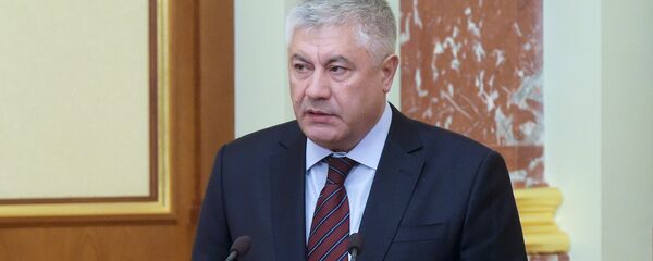Глава МВД России Владимир Колокольцев, архивное фото - Sputnik Таджикистан