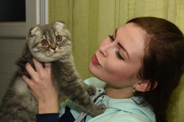 Какой сегодня праздник в Таджикистане и мире: 30 ноября Какой сегодня праздник в Таджикистане и мире: 30 ноября - Sputnik Таджикистан