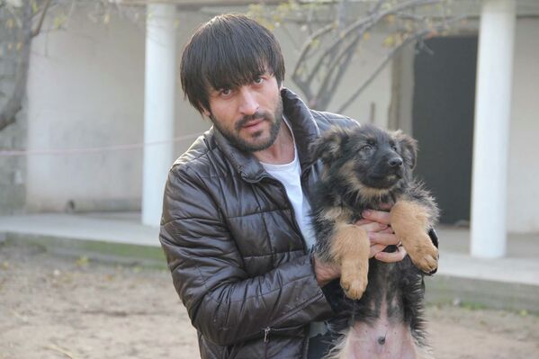 День домашних животных - Sputnik Таджикистан