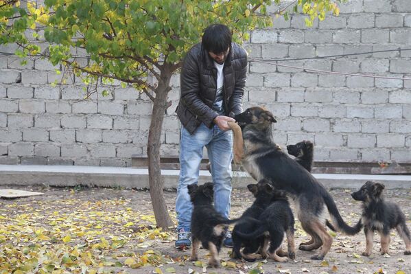 День домашних животных - Sputnik Таджикистан