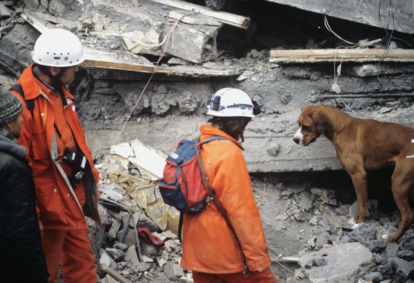 Горноспасатели из Швейцарии занимаются поиском людей в завалах. Архивное фото. - Sputnik Таджикистан