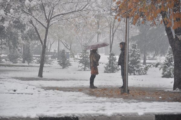 А для кого-то снегопад не смог стать помехой для долгожданного свидания - Sputnik Таджикистан