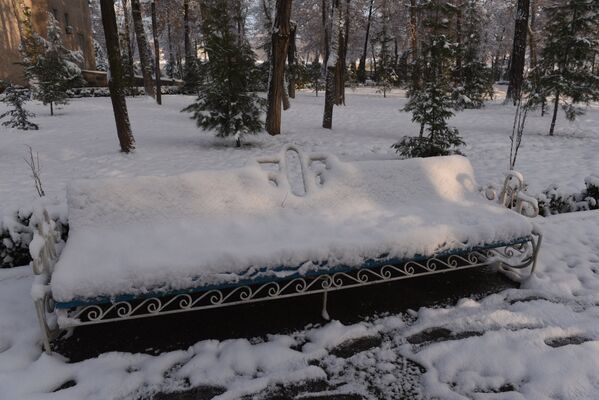Одинокая скамейка в парке ждет весны - Sputnik Таджикистан