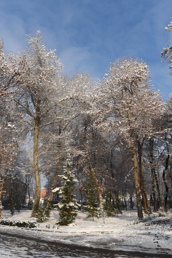Небо синее - высокое, воздух чистый - морозный - Sputnik Таджикистан