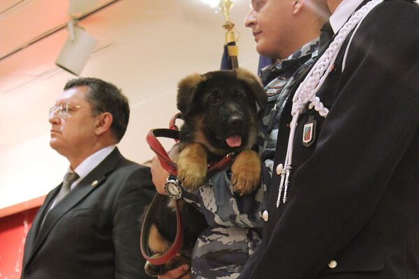 Торжественная передача в дар французской полиции щенка Добрыни - Sputnik Таджикистан