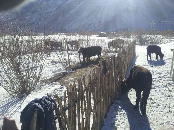 Последствия землетрясения в кишлаке Гудара - Sputnik Таджикистан