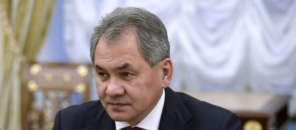 Министр обороны РФ Сергей Шойгу. Архивное фото. - Sputnik Таджикистан