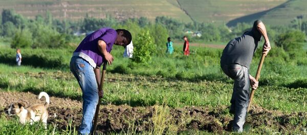 Шаҳрвандони Тоҷикистон. Акс аз бойгонӣ - Sputnik Тоҷикистон