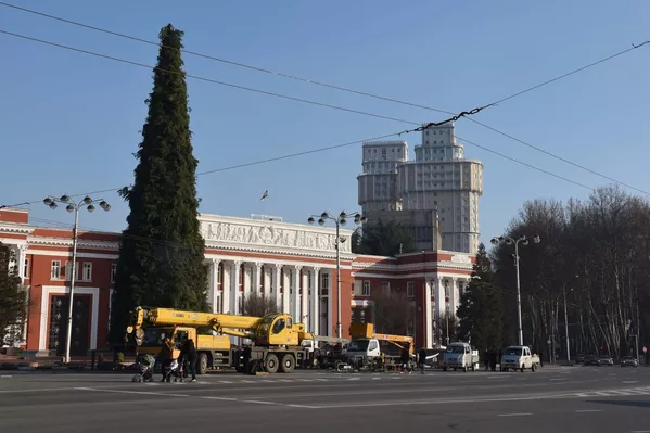 Насби арчаи солинавӣ дар Душанбе Насби арчаи солинавӣ дар Душанбе - Sputnik Тоҷикистон