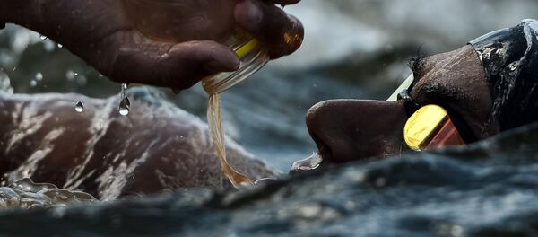 Чемпионат мира FINA 2015. Плавание на открытой воде. Мужчины. 10 км - Sputnik Таджикистан