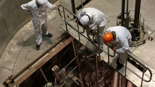 Сотрудники научно-исследовательского центра стоят у шахты реактора. Архивное фото - Sputnik Таджикистан
