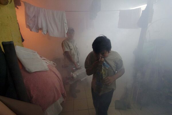 Мальчик пытается укрыться от газа во время антимоскитной обработки жилых кварталов в Гватемале в рамках борьбы с вирусом Зика - Sputnik Таджикистан