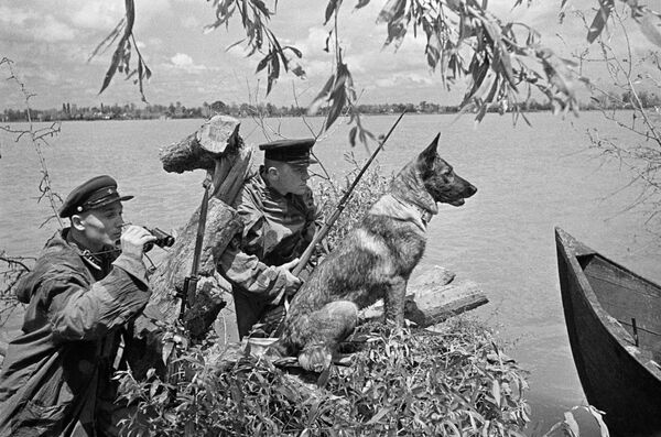 Пограничники ведут наблюдение в районе поселка Вилково в дельте Дуная. 1941 год - Sputnik Таджикистан
