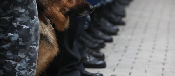 Тактико-специальные учения, архивное фото Тактико-специальные учения, архивное фото - Sputnik Таджикистан