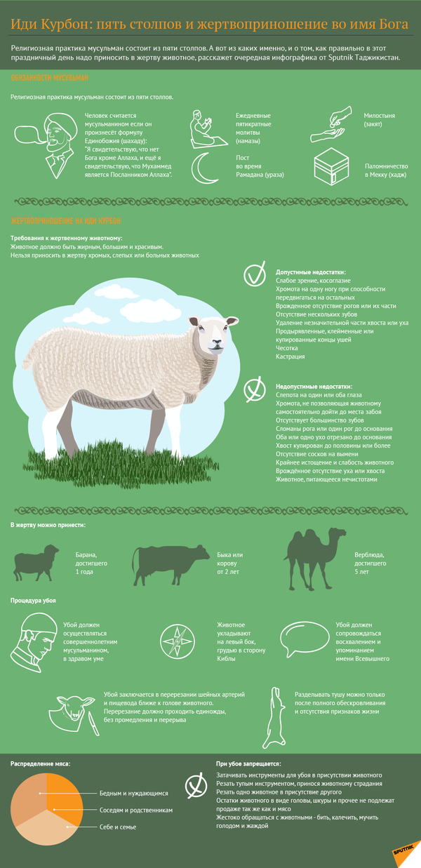 Жертвоприношение в Иди Курбон и 5 столпов ислама - Sputnik Таджикистан