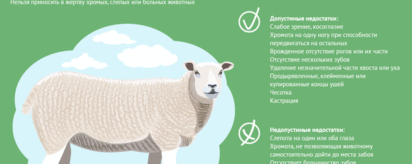 Жертвоприношение в Иди Курбон и 5 столпов ислама - Sputnik Таджикистан